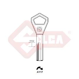 AY17 (Silca)