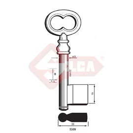 5309 (Silca)