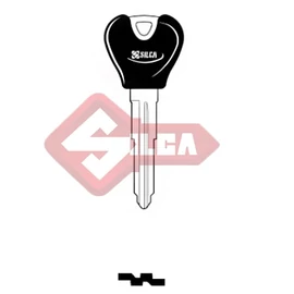 FO31RAP (Silca)