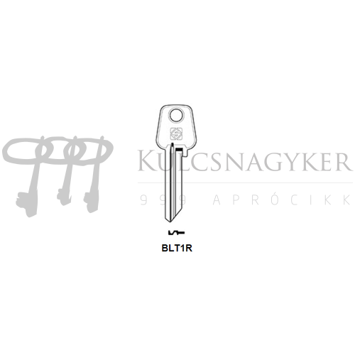 BLT1R (JMA)