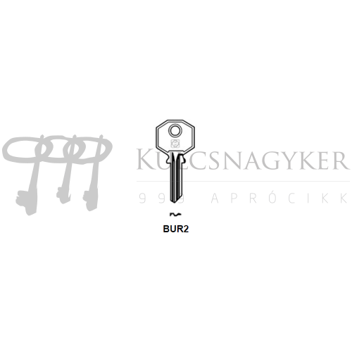 BUR2 (JMA)