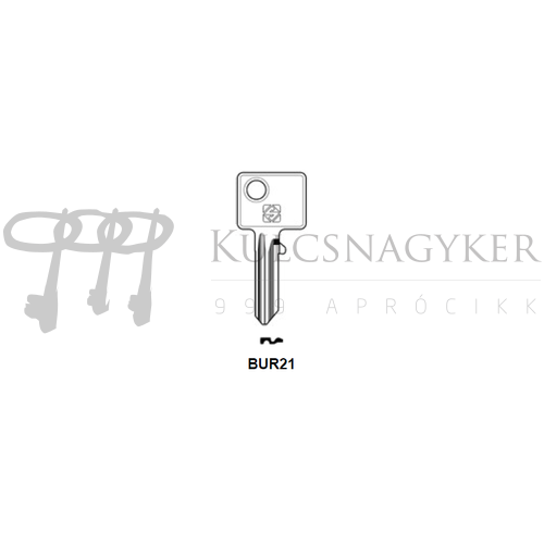 BUR21 (JMA)