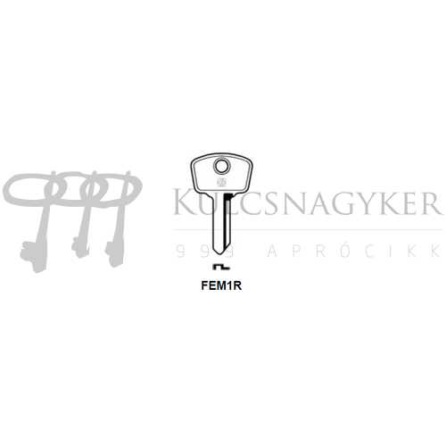 FEM1R (JMA)