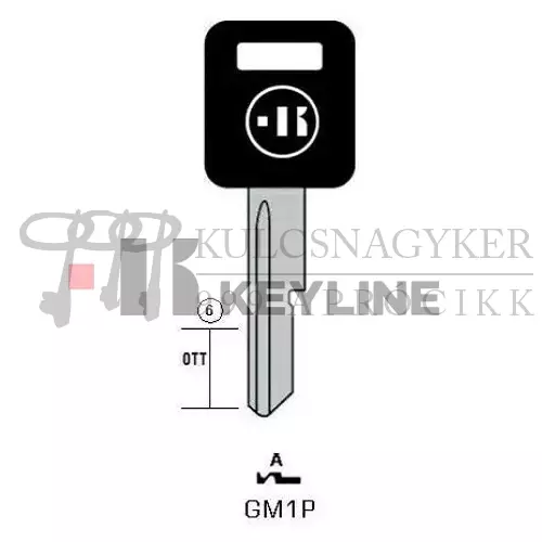 GM1AP (Keyline)