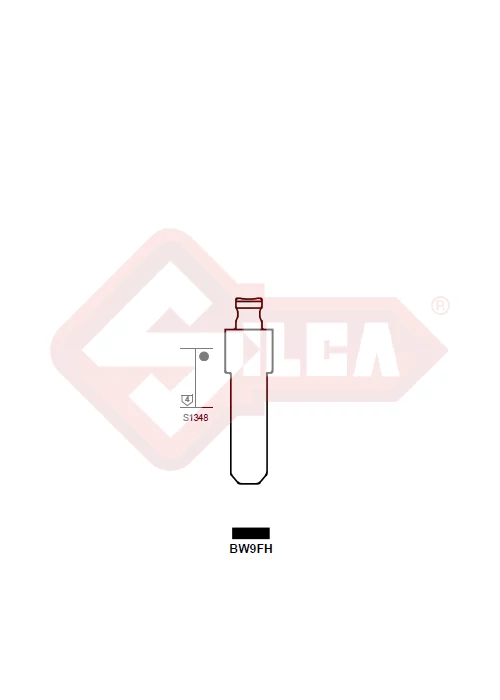 BW9FH (Silca) penge