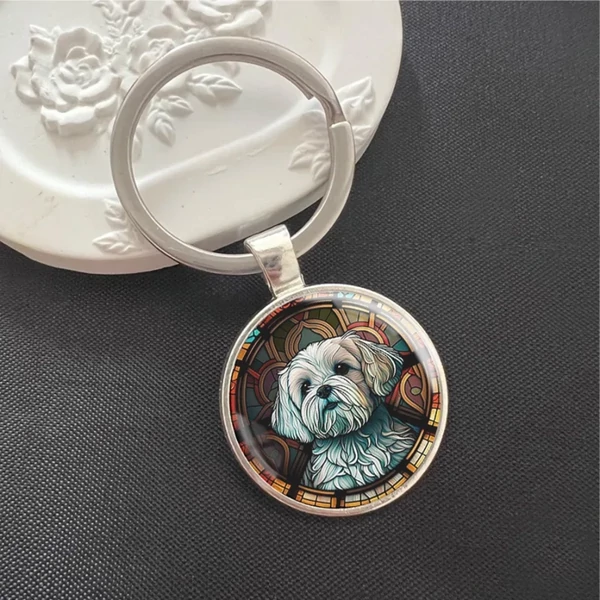 Kép 17/17 - Shih Tzu