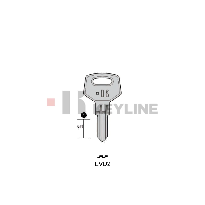 ED4 (EVD2 Keyline)