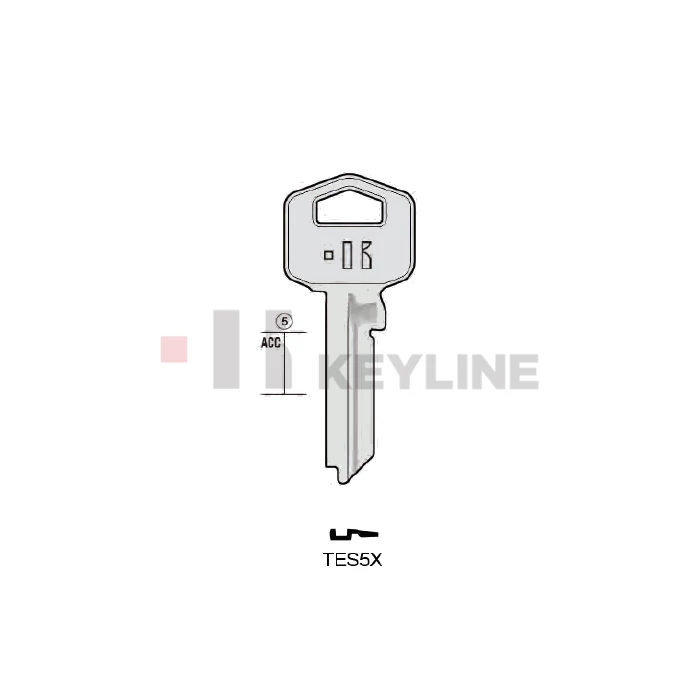 TE2X (TES5X Keyline)