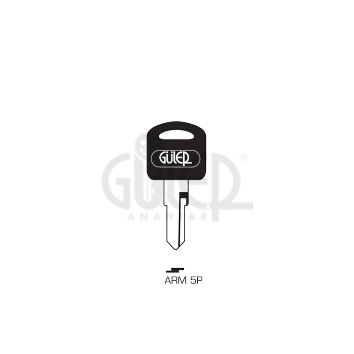 ARM5P (Güler)