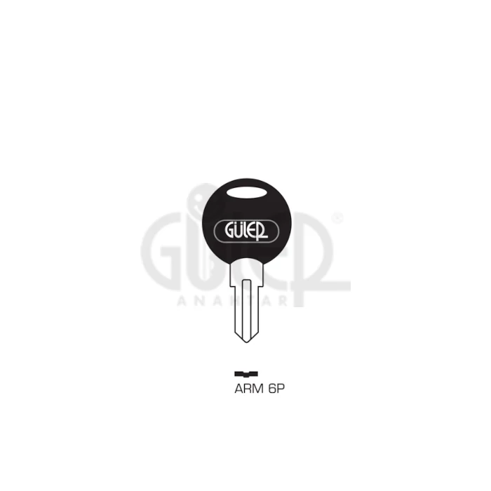 ARM6P (Güler)