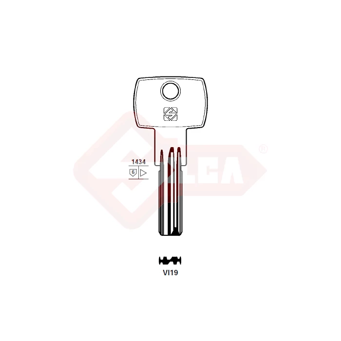 VI19 (Silca)