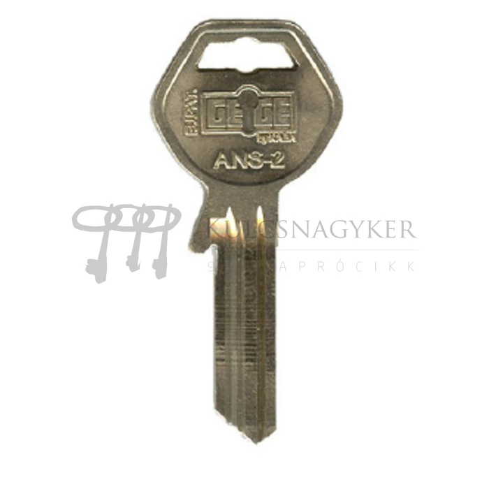 NYK GEGE ANS-2 prof:KA2RO166