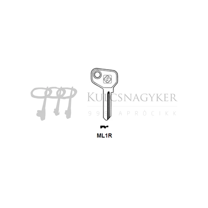 ML1R                           elf.