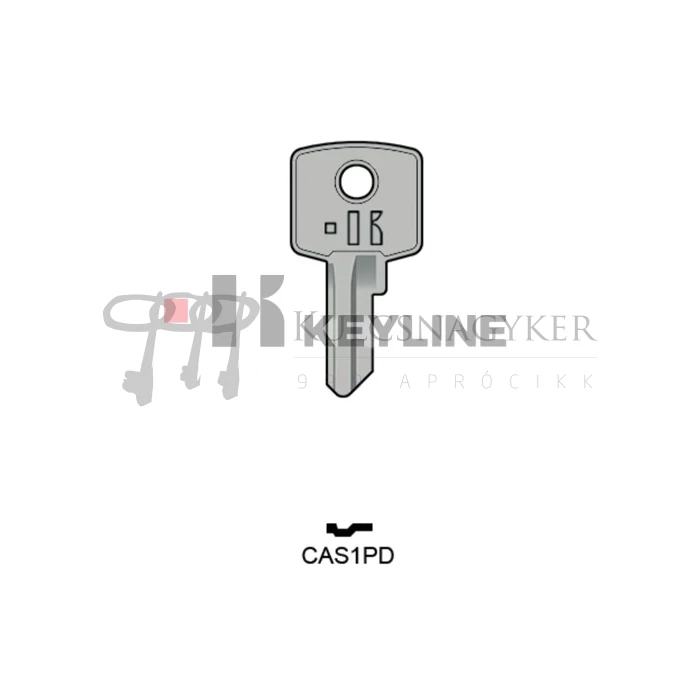 CIS1   CAS1PD              KL!!