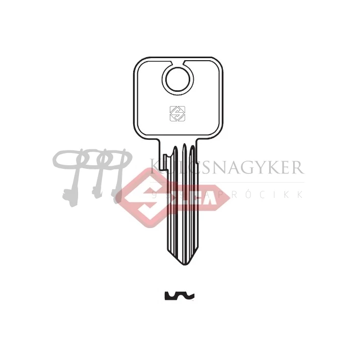 CS46R  L:YT15R,NAB1R,TN2R