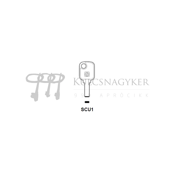 SCU1   SCR-1               JMA