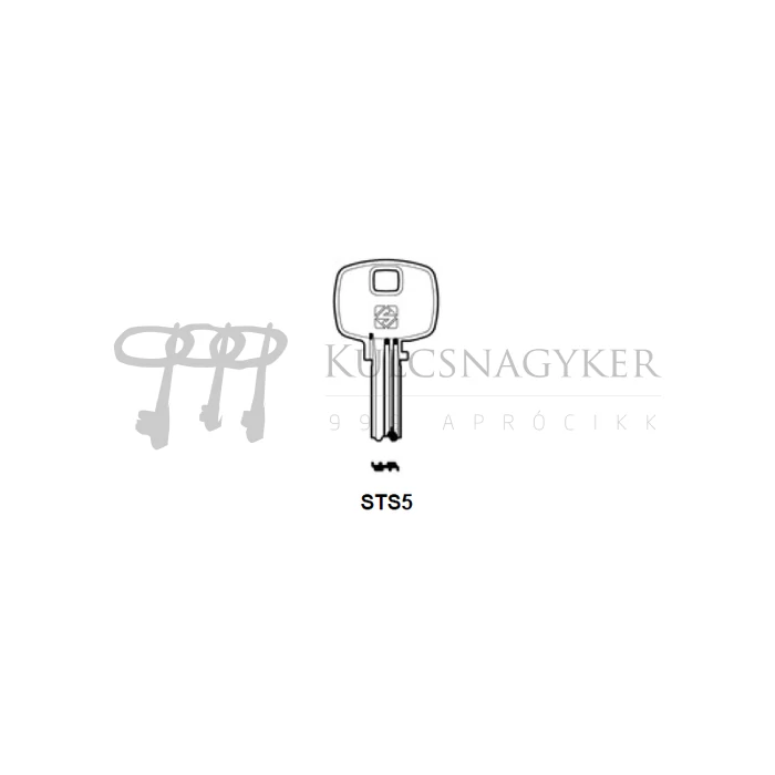 STS5                           elf.
