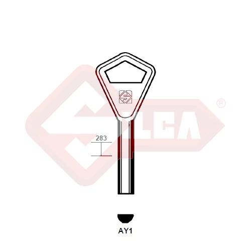 AY1 (Silca)