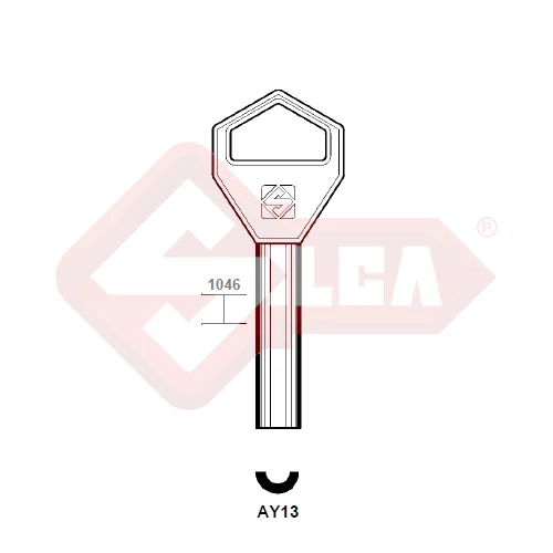 AY13 (Silca)