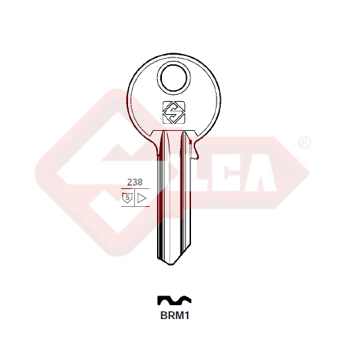 BRM1 (Silca)