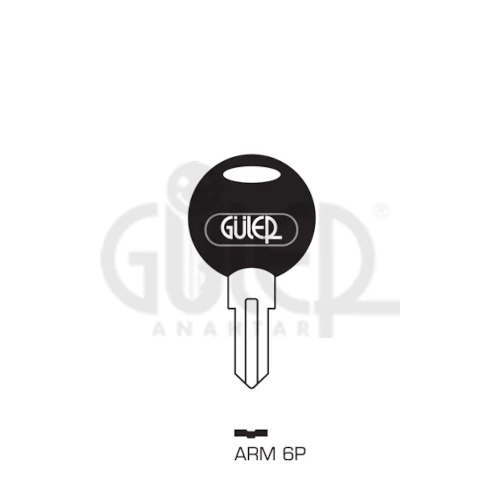 ARM6P (Güler)