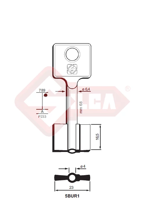 5BUR1 (Silca)