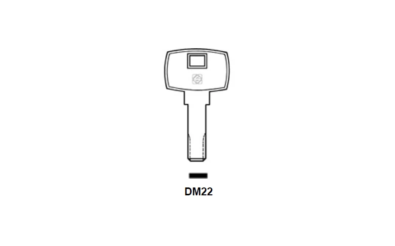 DM22