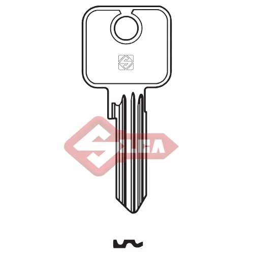 CS46R  L:YT15R,NAB1R,TN2R
