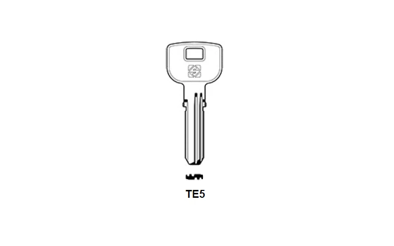 TE5